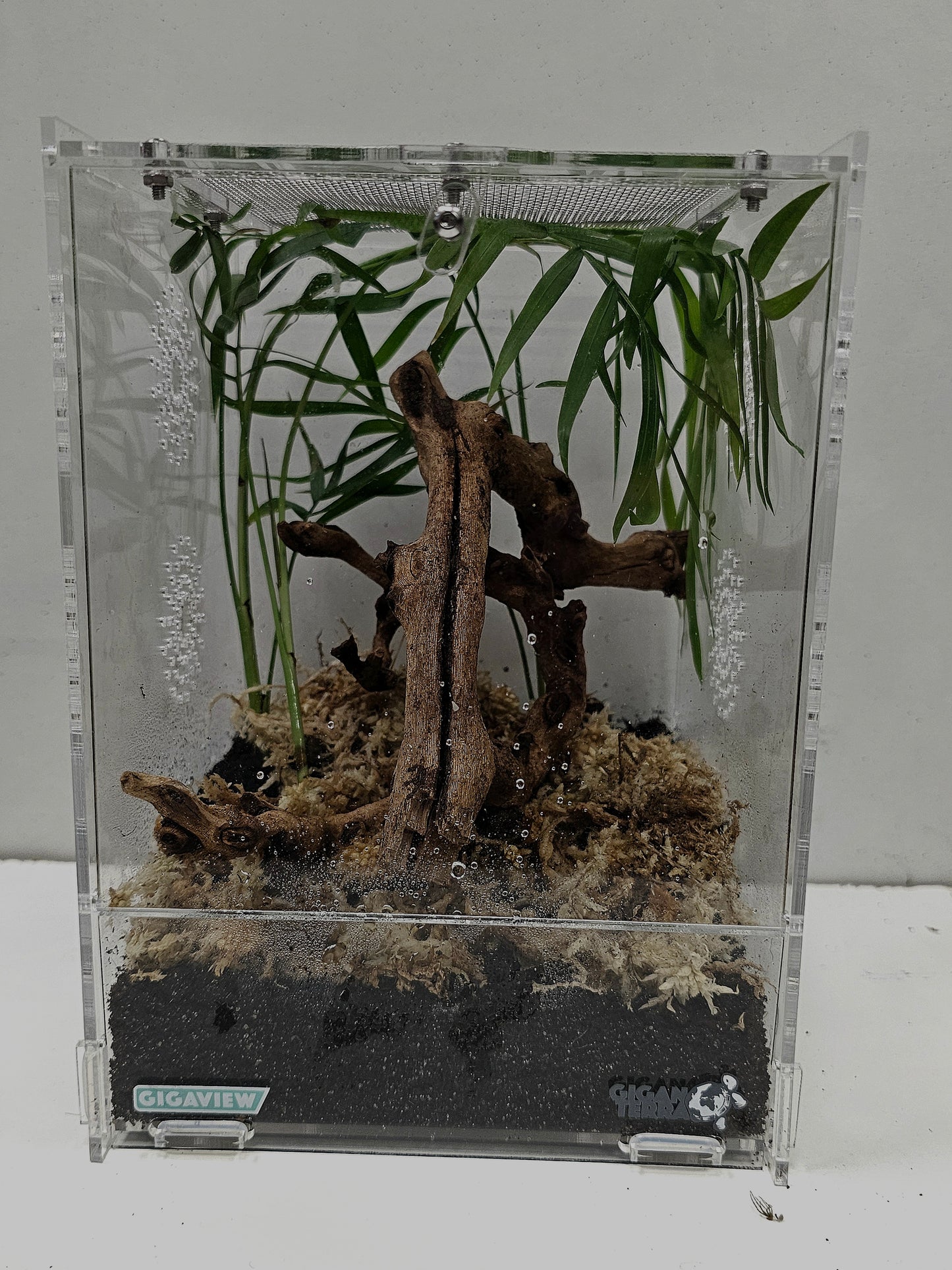 Kits terrarium acrylique 15×16.5×21.5cm