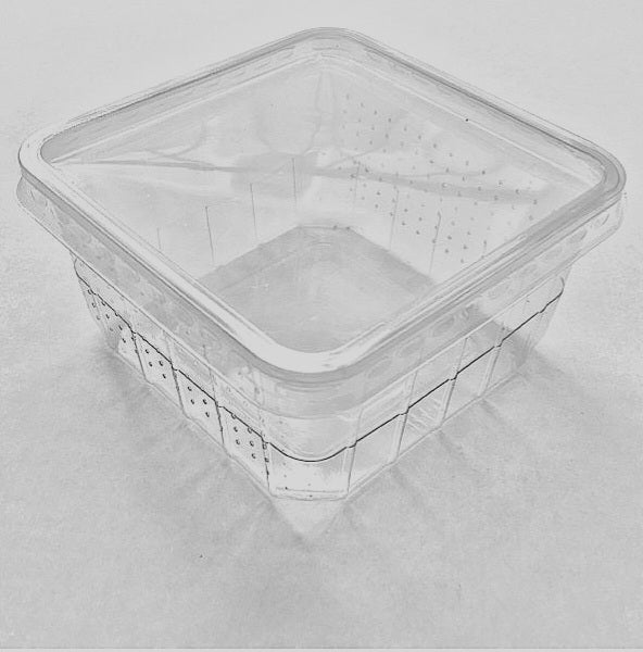 Boîte grillon vide 450ml