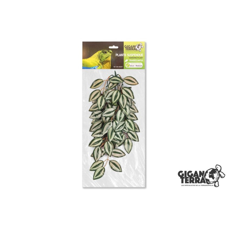 Plantes suspendues 45cm