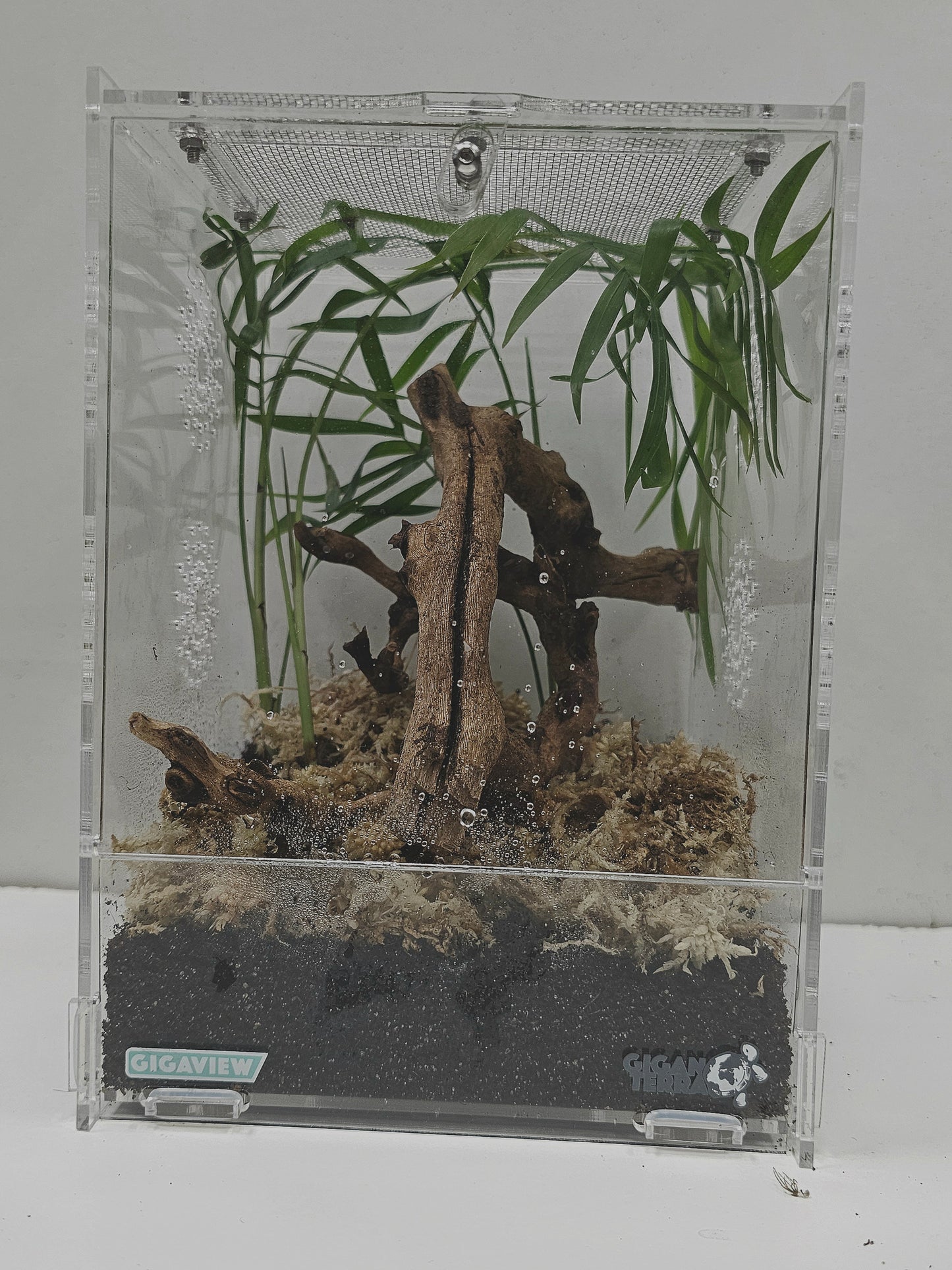 Kits terrarium acrylique 15×16.5×21.5cm