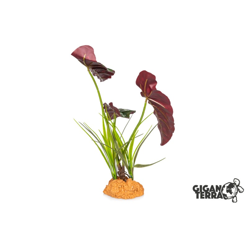 Plante sur pied 48cm