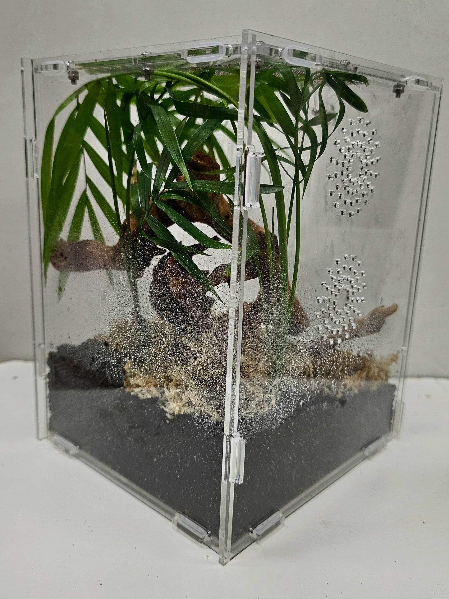 Kits terrarium acrylique 15×16.5×21.5cm