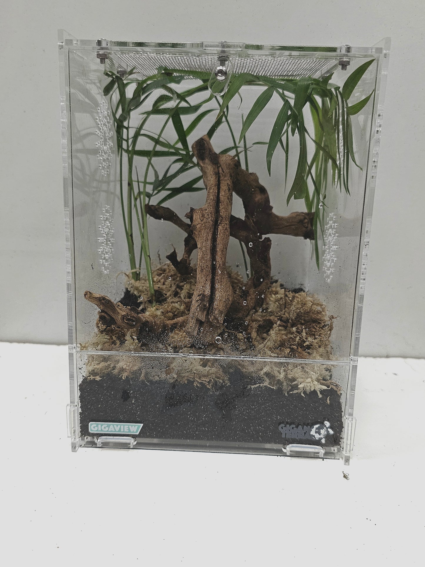 Kits terrarium acrylique 15×16.5×21.5cm