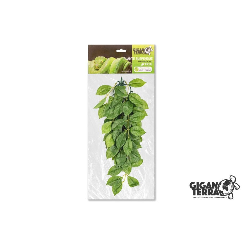 Plantes suspendues 45cm