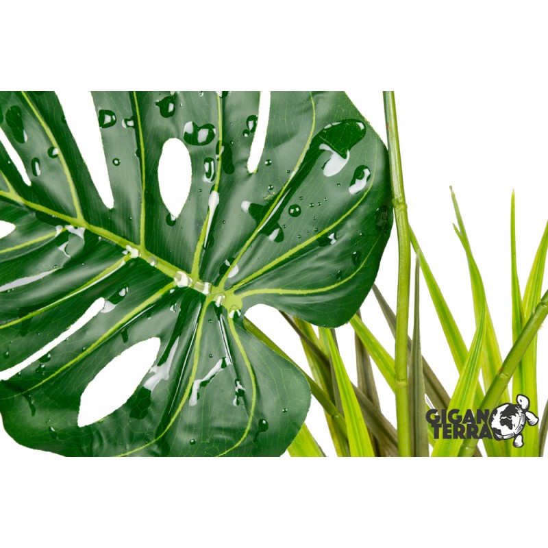 Plante sur pied 48cm