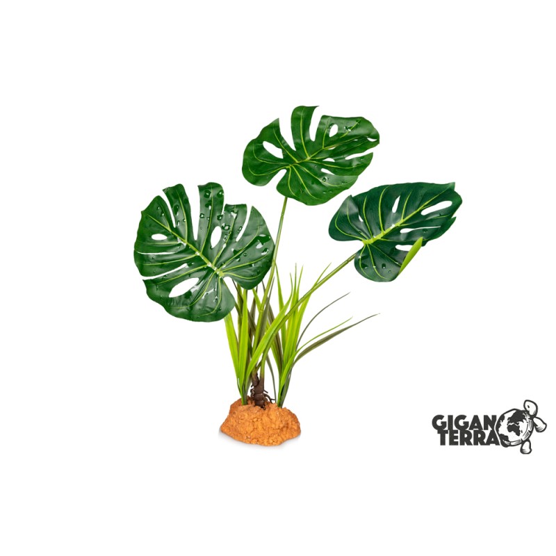 Plante sur pied 48cm