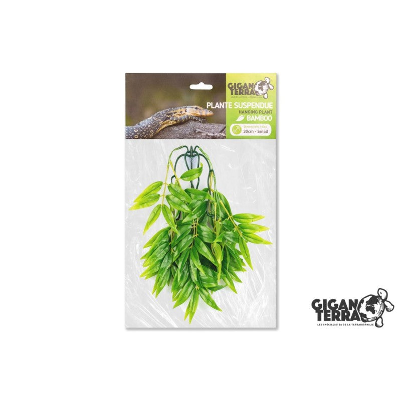 Plantes suspendues 30cm