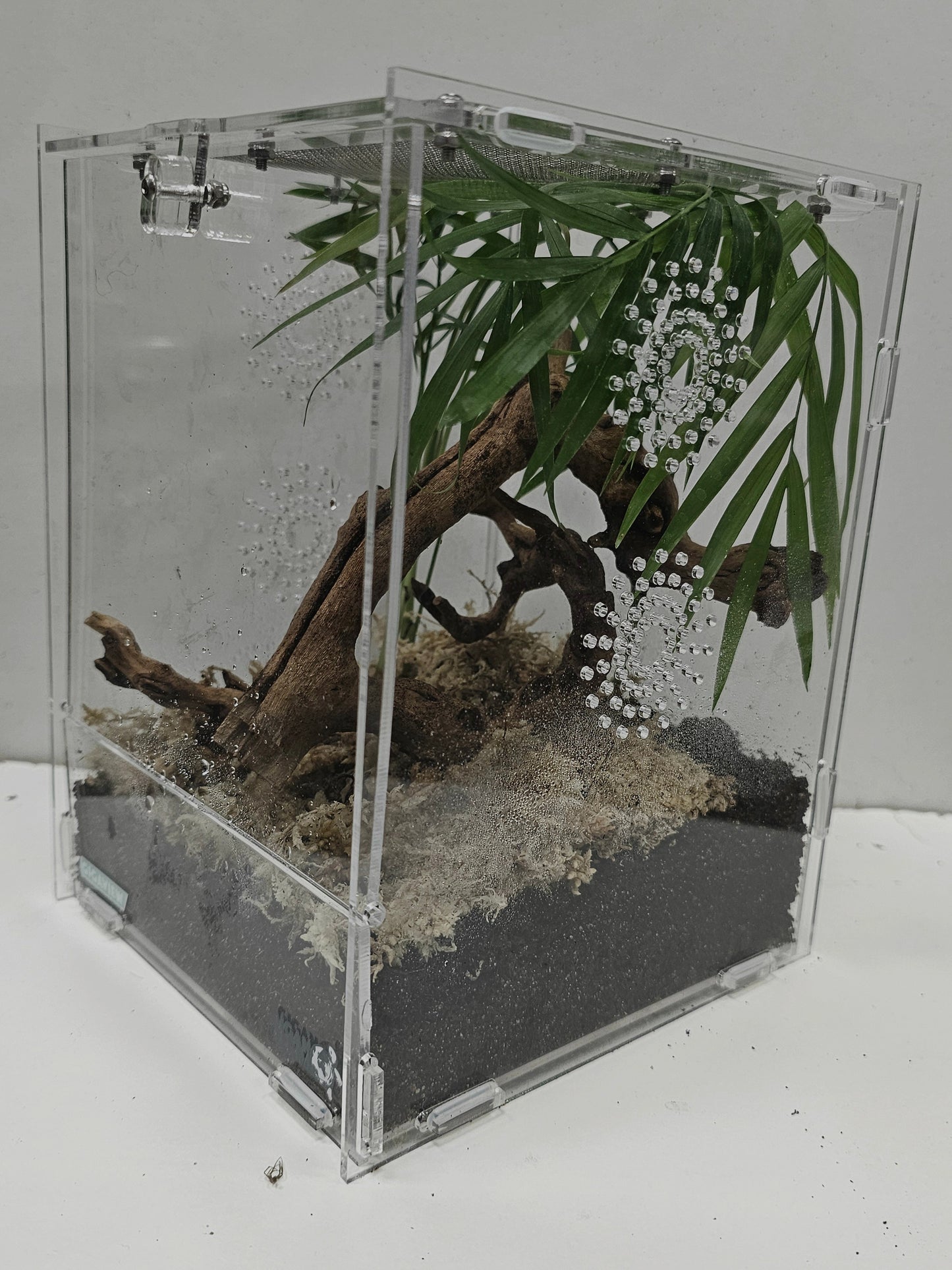 Kits terrarium acrylique 15×16.5×21.5cm