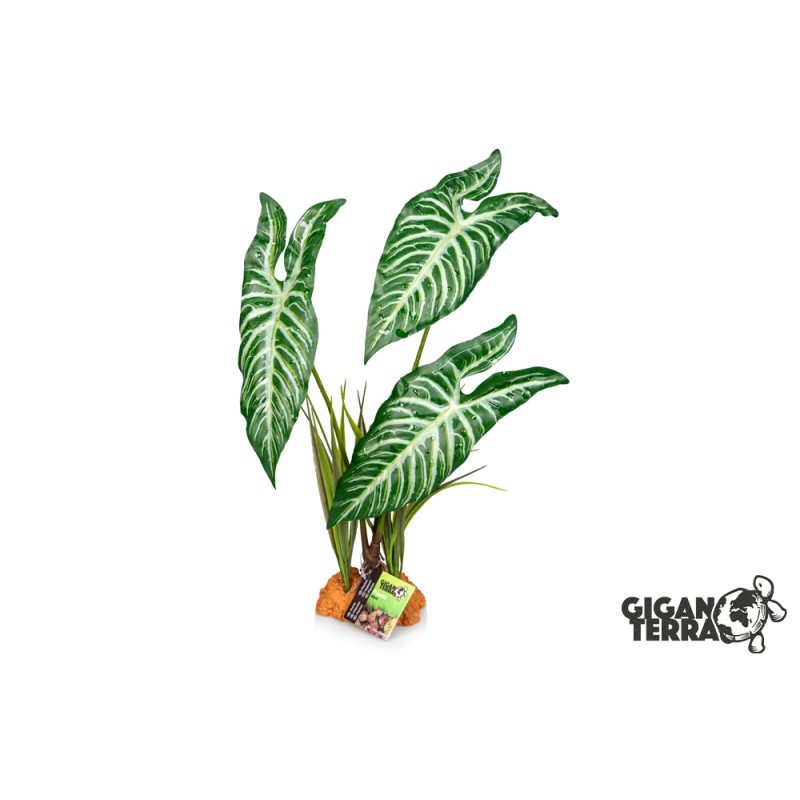 Plante sur pied 48cm