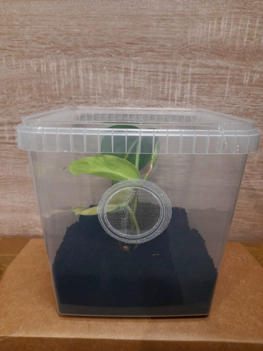 Kit 15×15×19cm
