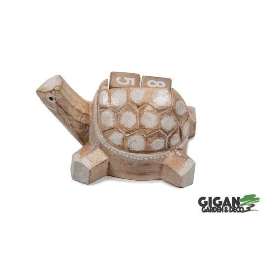 Calendrier tortue