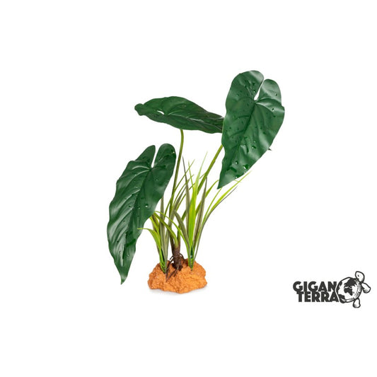 Plante sur pied 48cm