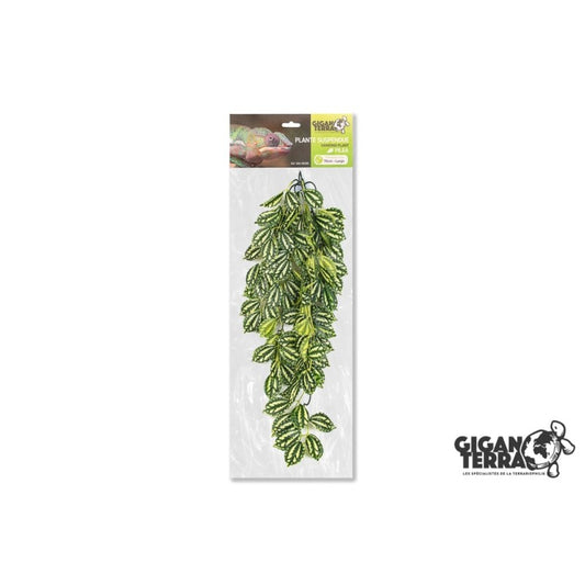 Plantes suspendues 70cm