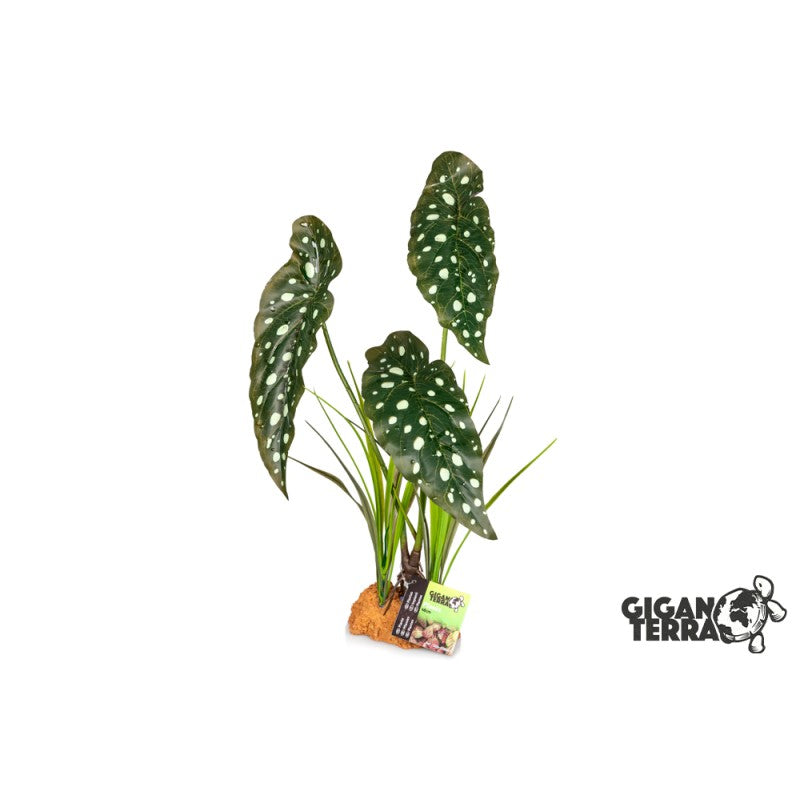 Plante sur pied 48cm