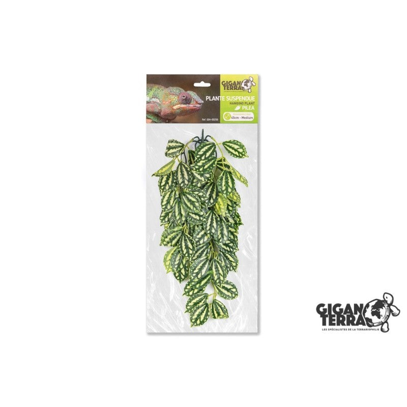 Plantes suspendues 45cm