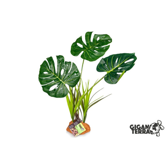 Plante sur pied 48cm
