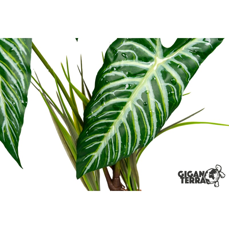 Plante sur pied 48cm