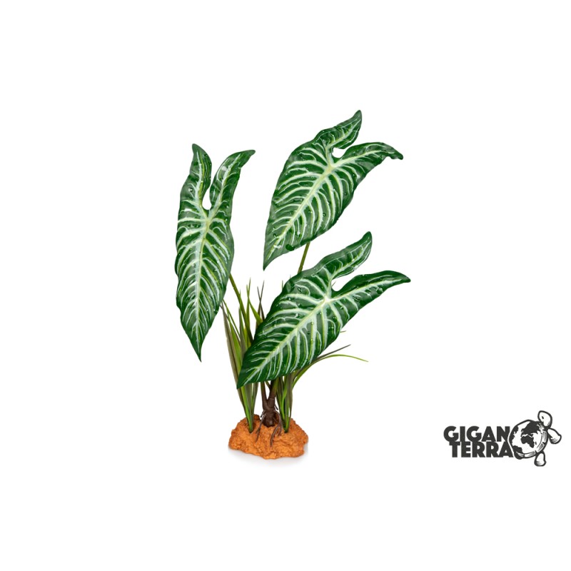 Plante sur pied 48cm